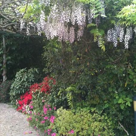 Bed & Breakfast Corteundici Treviso